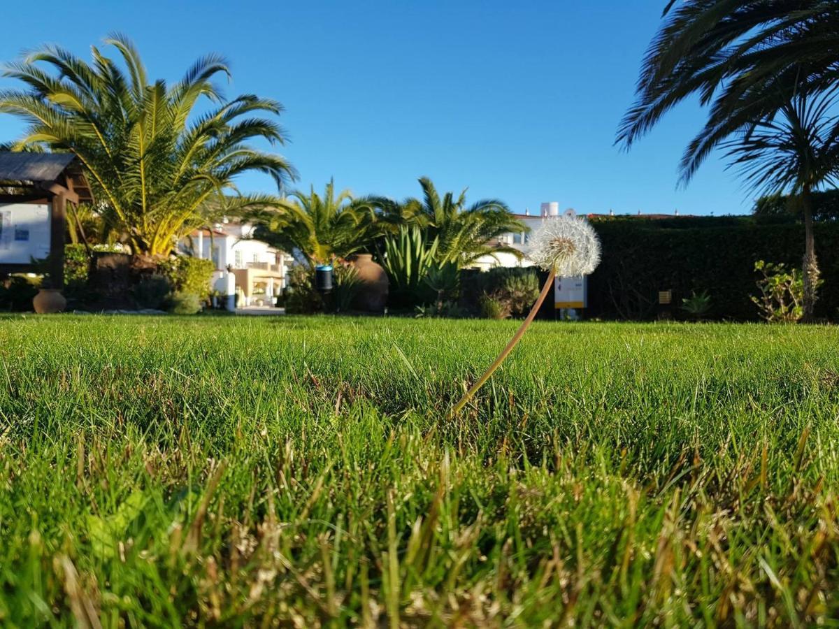 Luz Bay Hotel Dış mekan fotoğraf